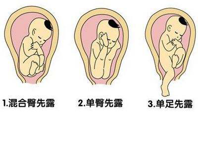 圖片1.png 圖片1.png