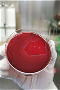 圖片2.png 圖片2.png