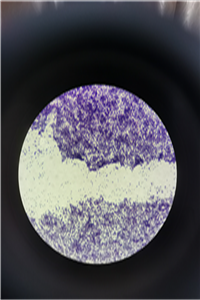 圖片3.png 圖片3.png