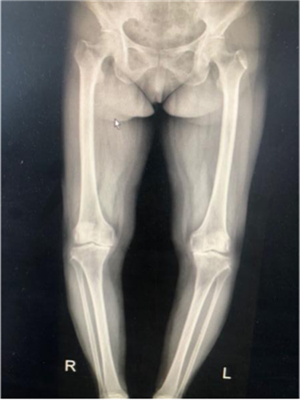 圖片3.png 圖片3.png