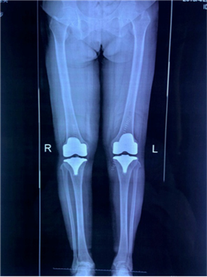 圖片4.png 圖片4.png