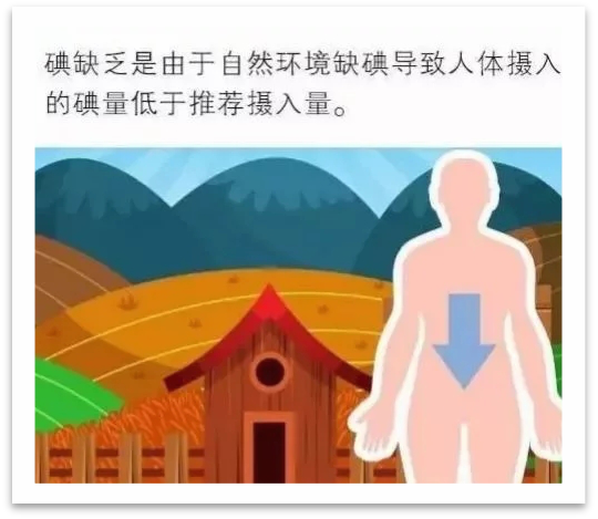 圖片2.png 圖片2.png