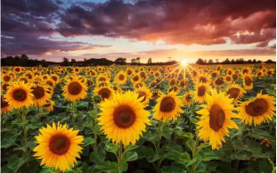 圖片5.png