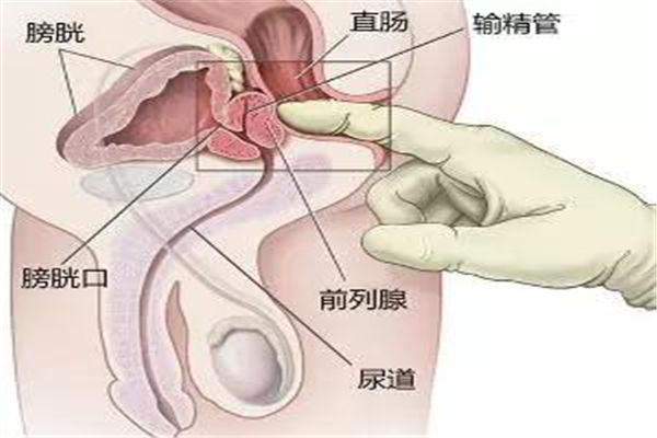 圖片1.png 圖片1.png