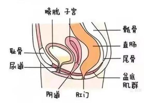 圖片3.png