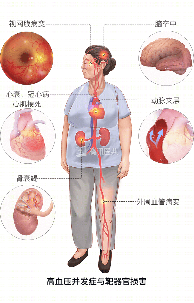 圖片4.png 圖片4.png