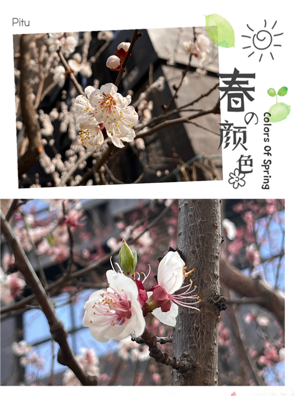 圖片6.png