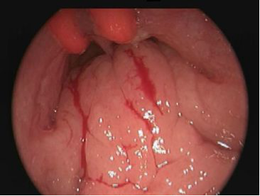 圖片8.png 圖片8.png