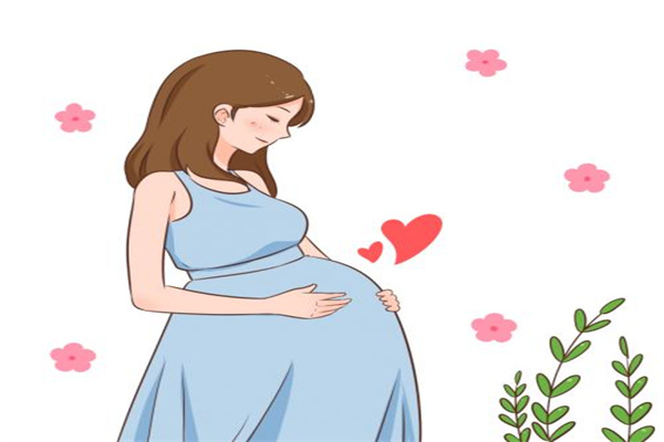 圖片5.jpg 圖片5.jpg