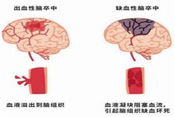 圖片1.jpg 圖片1.jpg