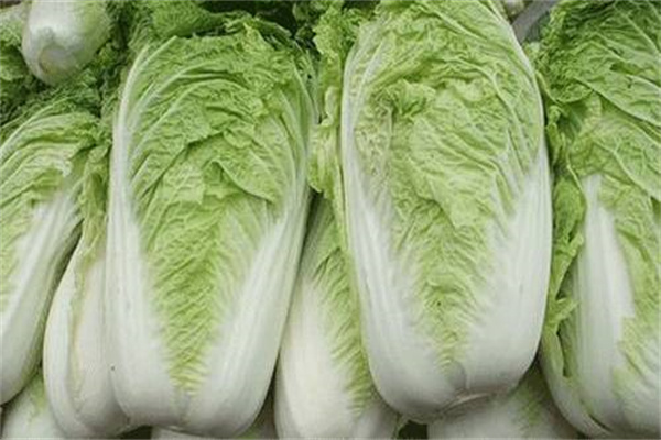 圖片3.jpg 圖片3.jpg