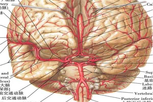圖片2.jpg 圖片2.jpg