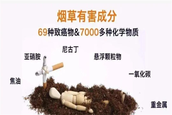 圖片2.jpg 圖片2.jpg