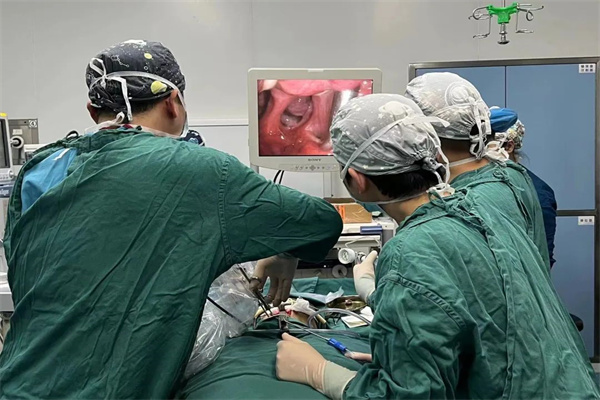 圖片1.jpg 圖片1.jpg