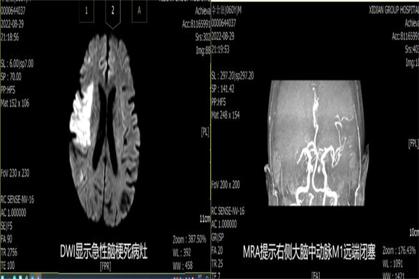 圖片1.jpg 圖片1.jpg