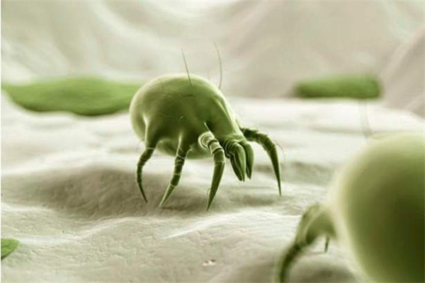 圖片1.jpg 圖片1.jpg