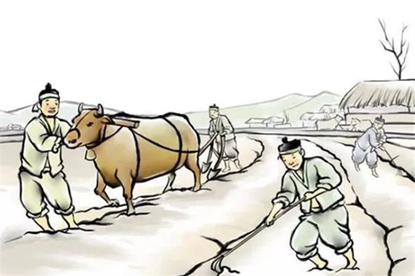 54b691d20f194ff3ad0c29715a1bb9b2.jpeg 54b691d20f194ff3ad0c29715a1bb9b2.jpeg