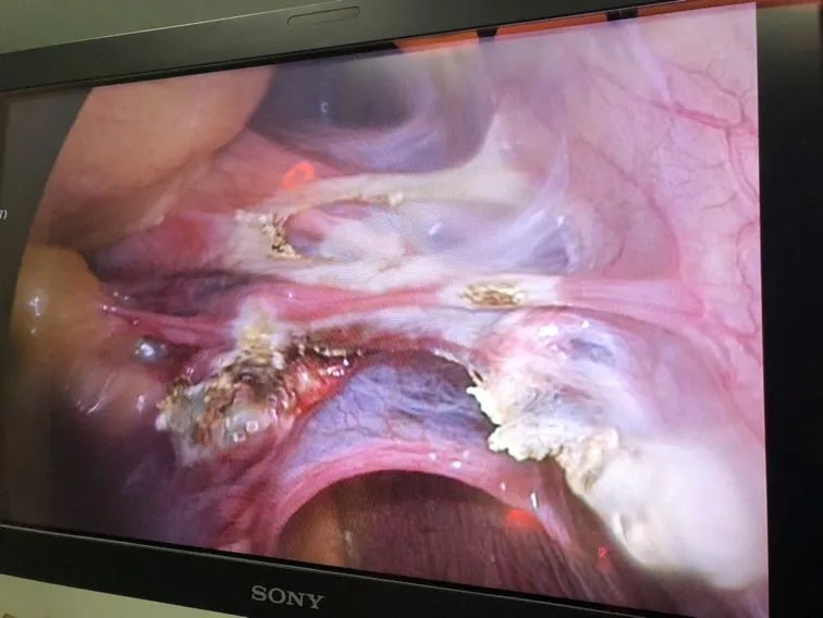 640 (17).jpg 640 (17).jpg