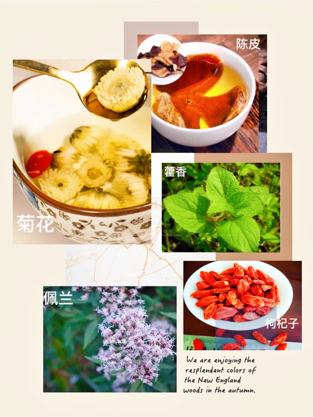 640 (6).jpg 640 (6).jpg