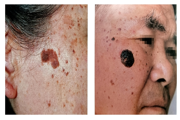 微信截圖_20231124111318.png 微信截圖_20231124111318.png