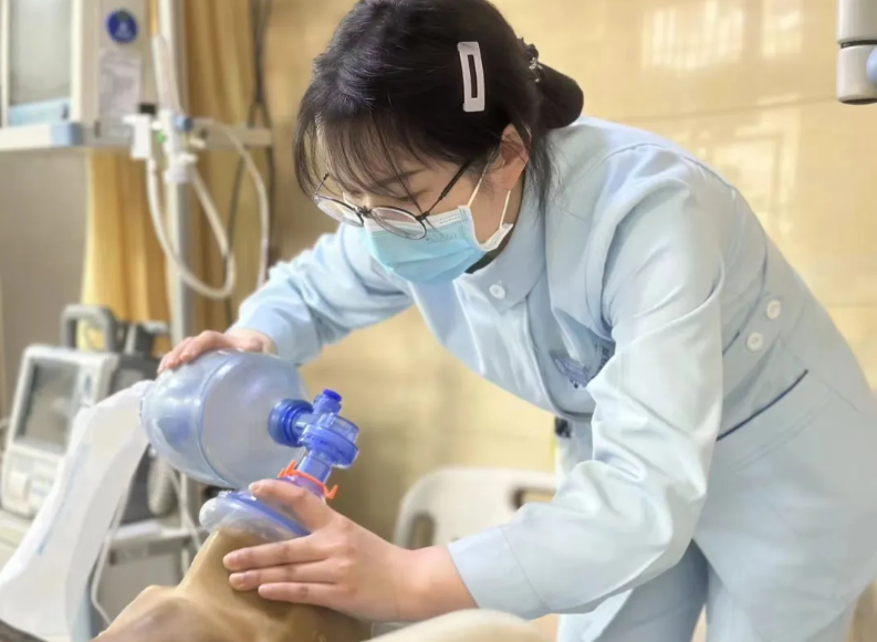 QQ截圖20240513094333.png QQ截圖20240513094333.png