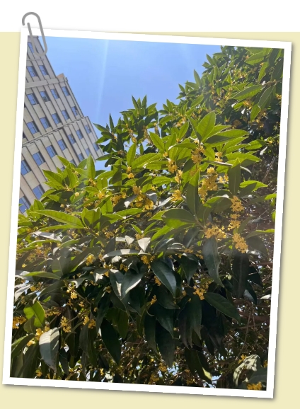 微信截圖_20241016083509.png 微信截圖_20241016083509.png