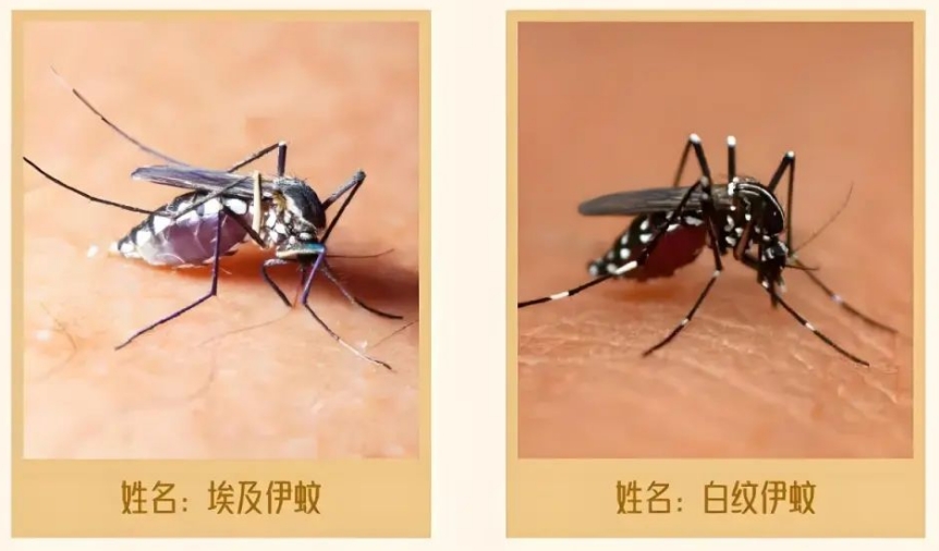 微信截圖_20241021090745.png 微信截圖_20241021090745.png