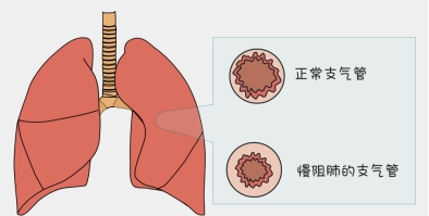 微信截圖_20241119143327.png 微信截圖_20241119143327.png